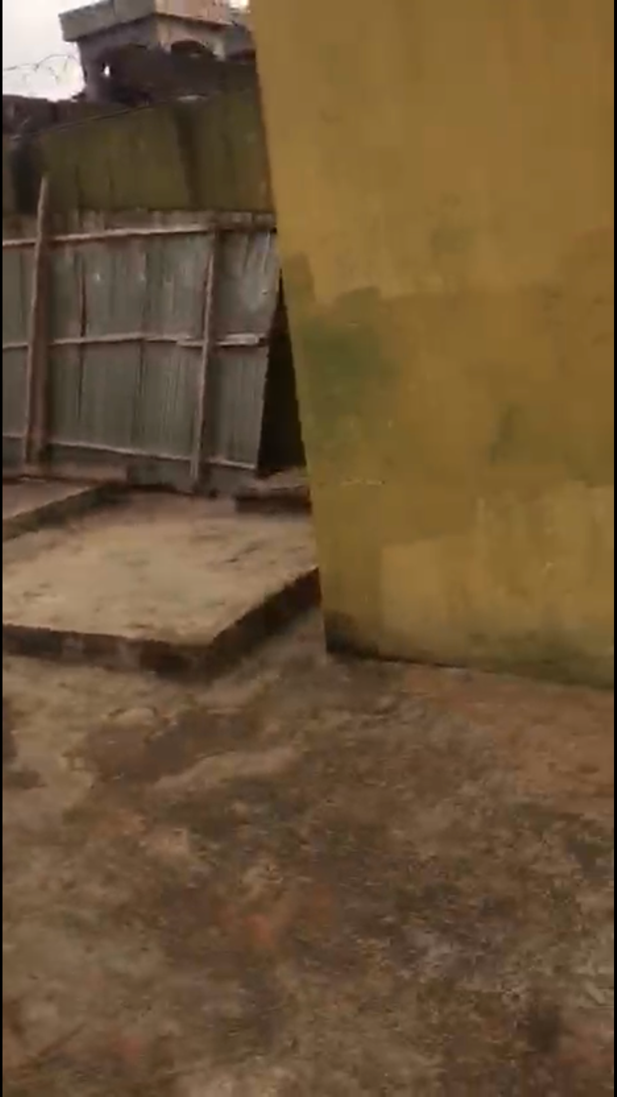 Front of the compound